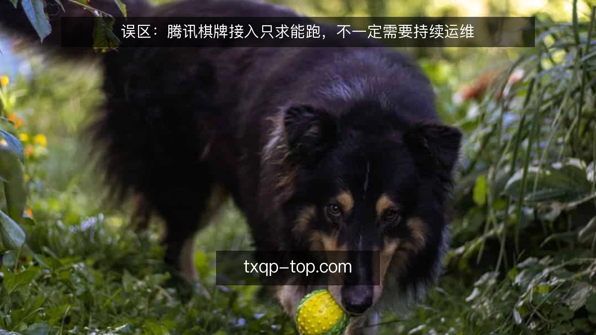 误区：腾讯棋牌接入只求能跑，不一定需要持续运维